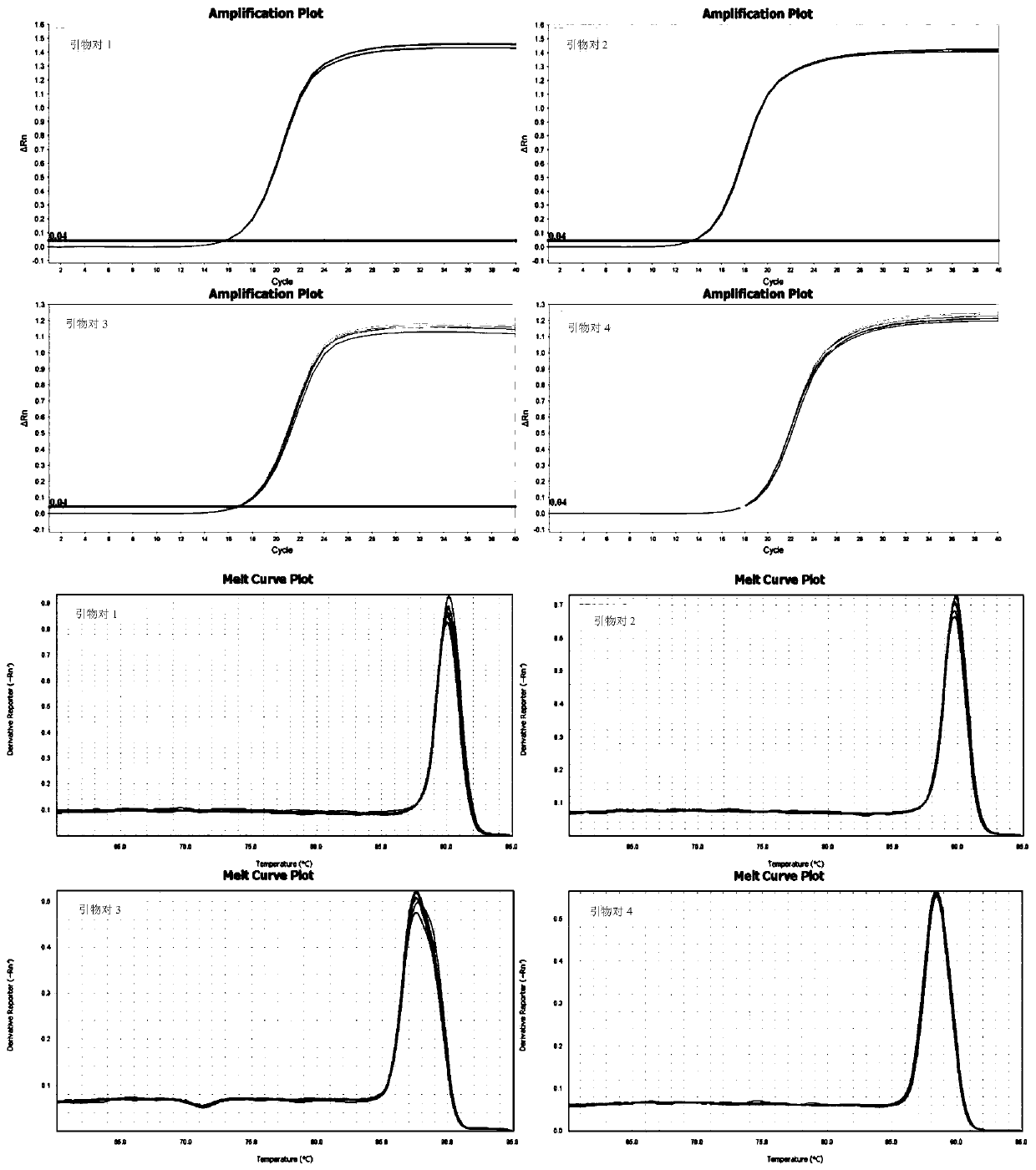 Real-time fluorescent PCR method for detecting mycobacterium avium and application of primer pairs