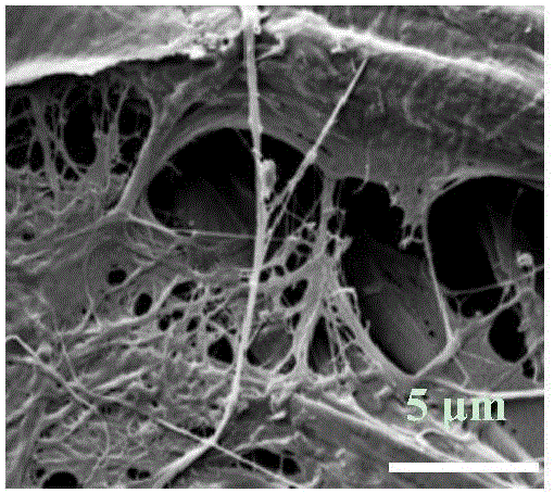 Making method of hemp root bast filter paper for anti-fog and anti-haze mask