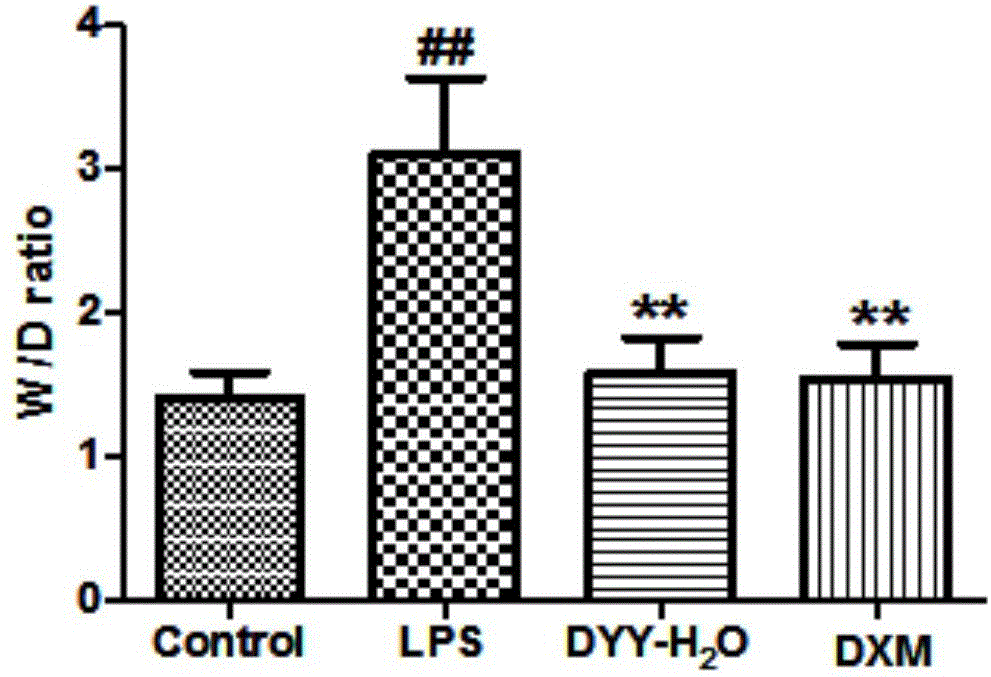 Application of membrane-source-opening beverage in preparation of acute lung injury resisting medicine