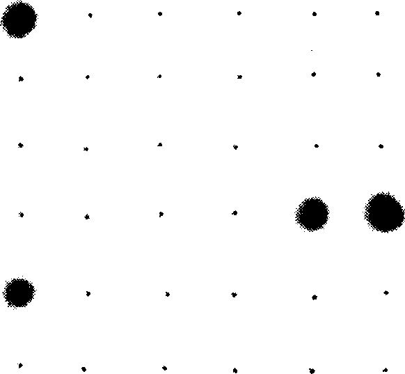 Method for detecting aquatic animal pathogenic bacteria by using ribosome interoperonic region probe