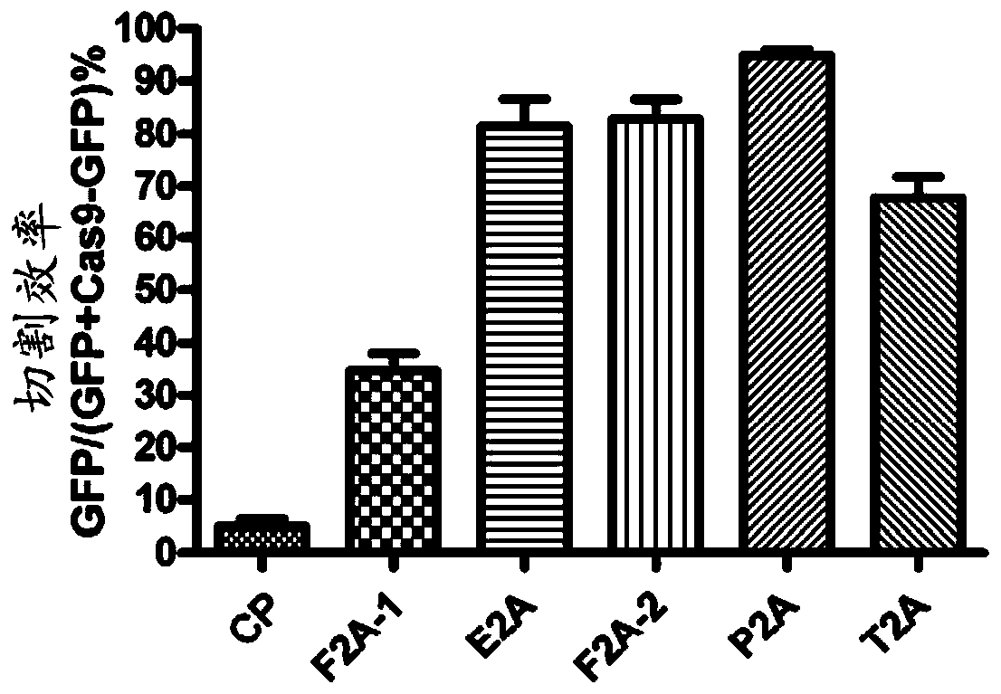 CRISPR/Cas9 system and method for efficiently producing mutant plants without carrying transgenic elements in plants