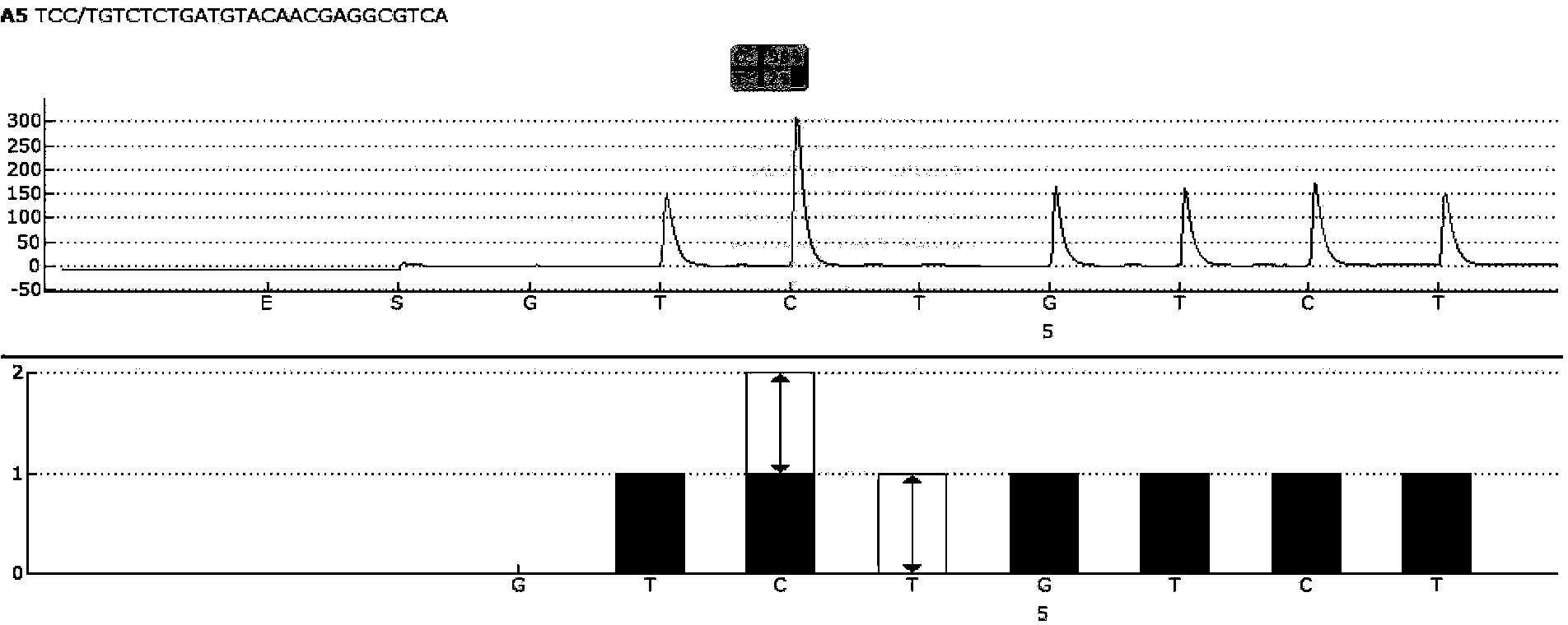 Sequencing primer for qualitative detection of genetic typing of uridinediphosphoglucuronate glucuronosyltransferase 1A1 and kit thereof