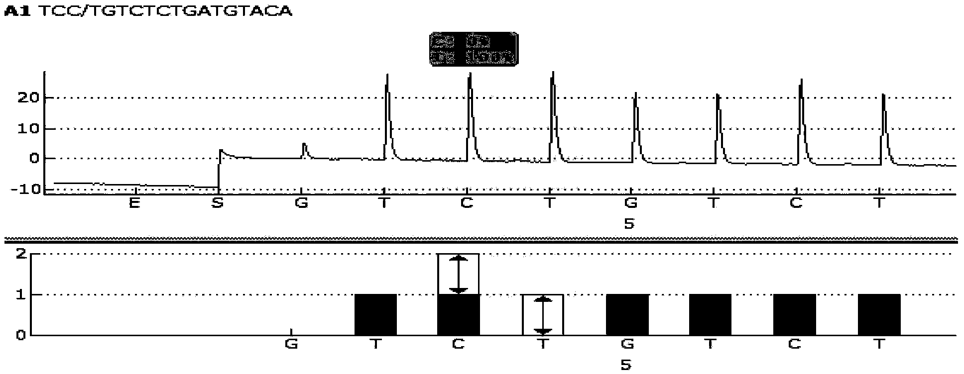 Sequencing primer for qualitative detection of genetic typing of uridinediphosphoglucuronate glucuronosyltransferase 1A1 and kit thereof