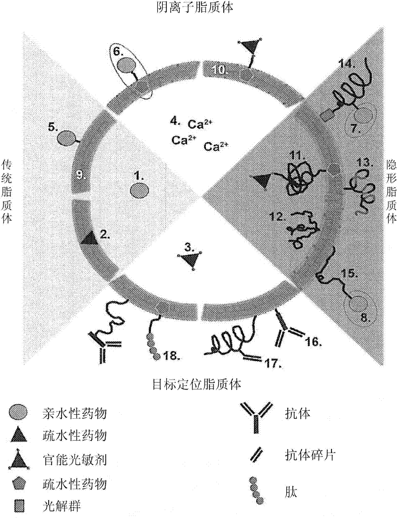 Drug delivery system for the treatment of vascular diseases