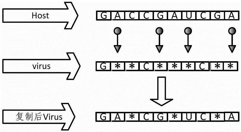 A verna-ga gasoline blending optimization scheduling method