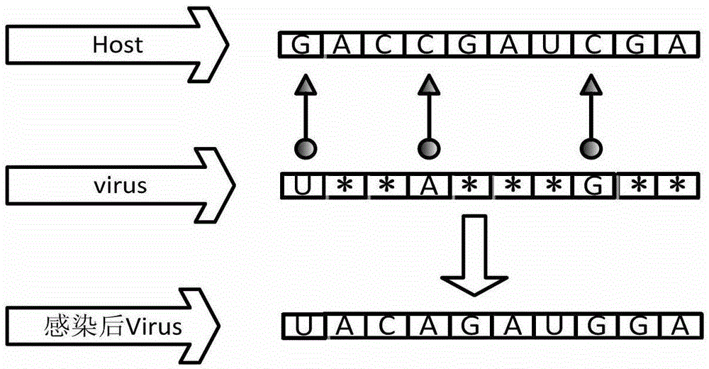 A verna-ga gasoline blending optimization scheduling method