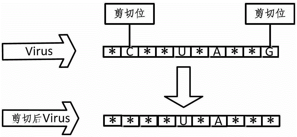 A verna-ga gasoline blending optimization scheduling method