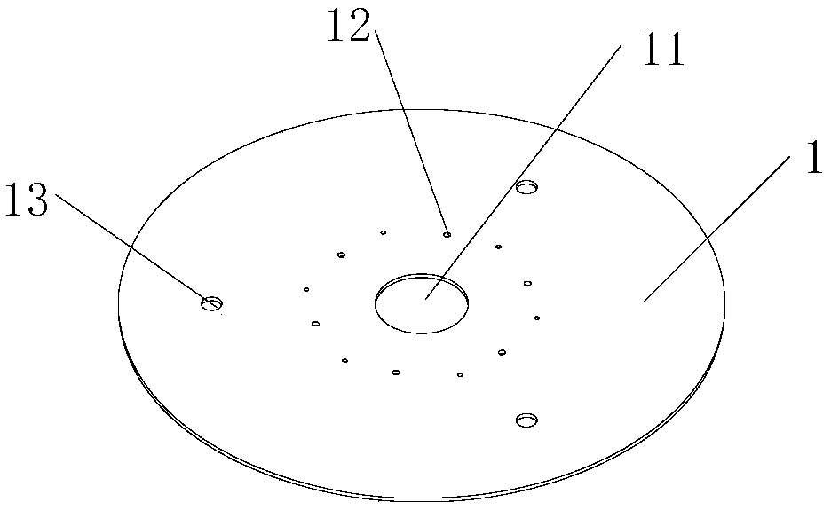 Nucleic acid detection chip