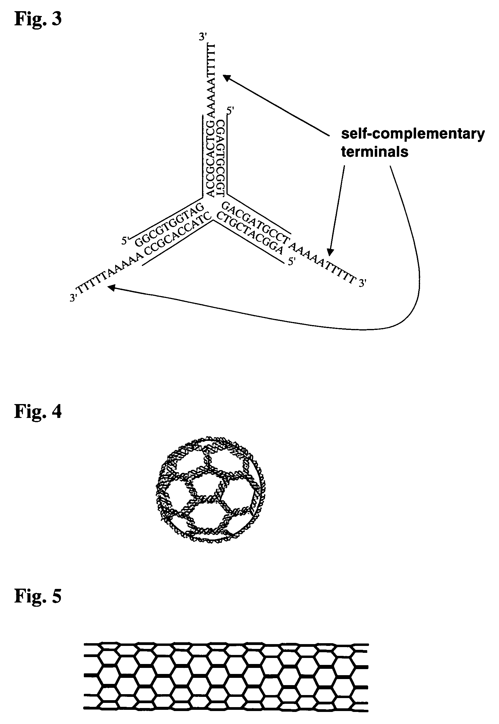 Dna nanocage by self-organization of dna and process for producing the same, and dna nanotube and molecule carrier using the same