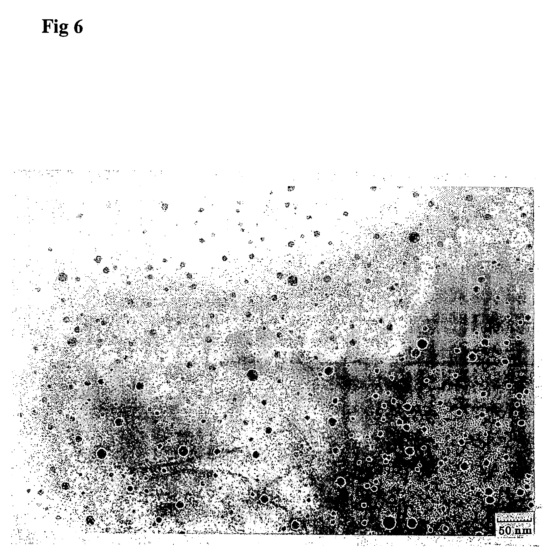 Dna nanocage by self-organization of dna and process for producing the same, and dna nanotube and molecule carrier using the same