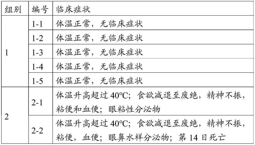 Canine distemper virus attenuated strain, vaccine composition prepared from canine distemper virus attenuated strain and application of vaccine composition