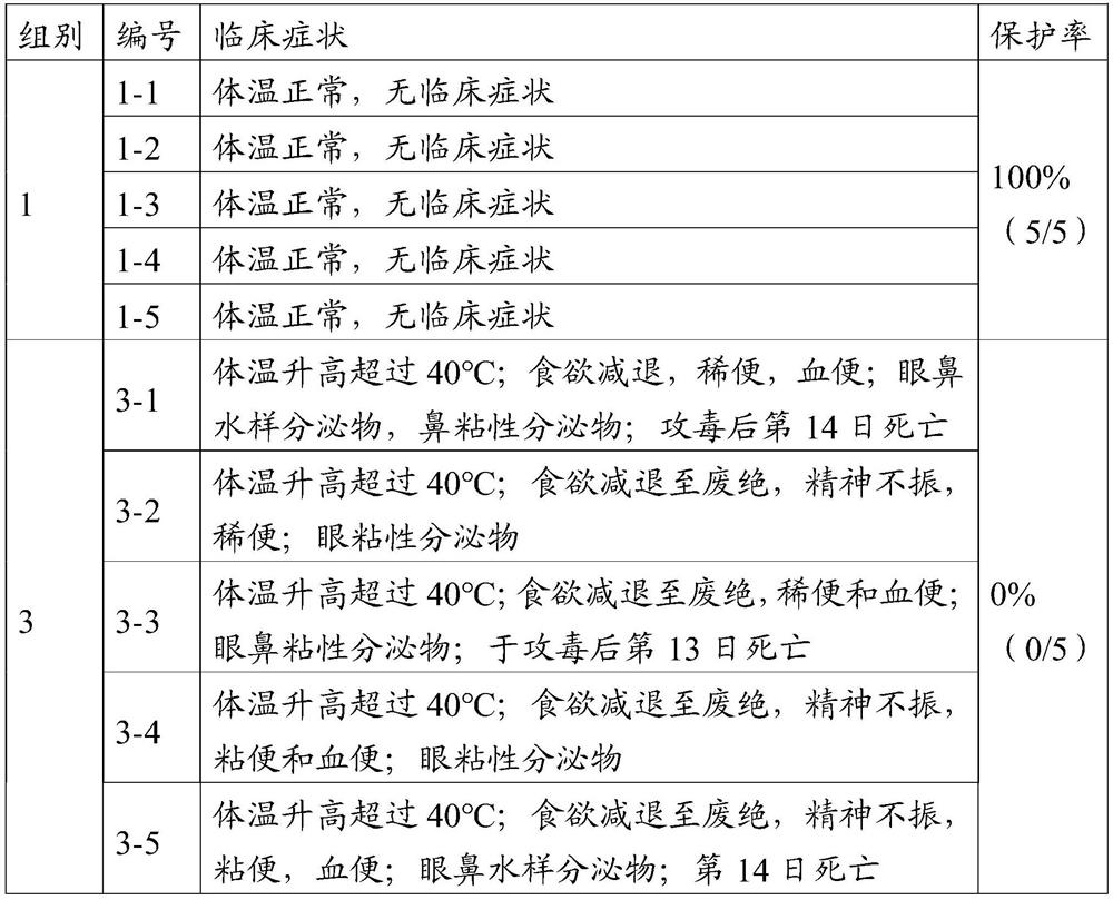 Canine distemper virus attenuated strain, vaccine composition prepared from canine distemper virus attenuated strain and application of vaccine composition