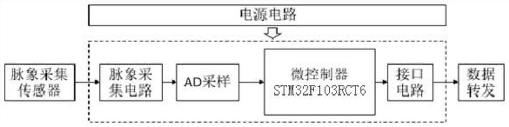 Remote pulse diagnosis control system and method, storage medium, computer equipment and terminal