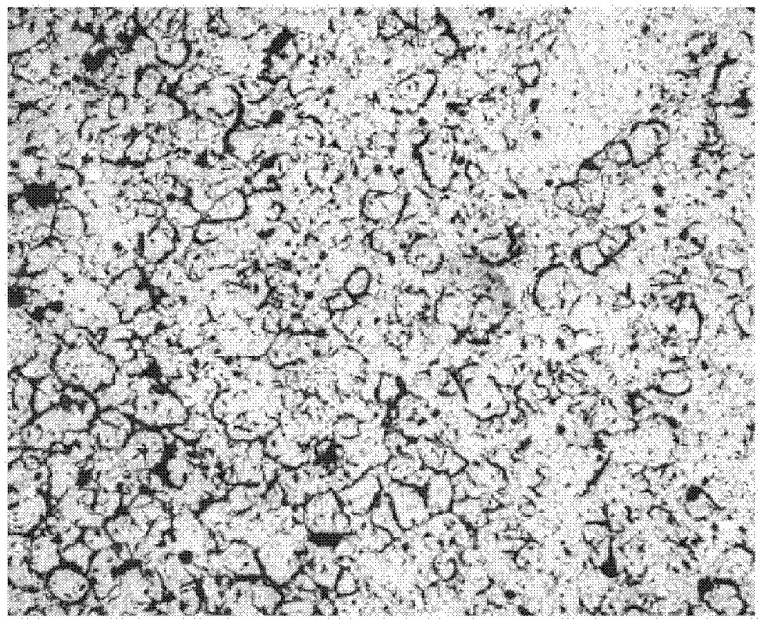 Method for preparing a porous nuclear fuel containing at least one minor actinide