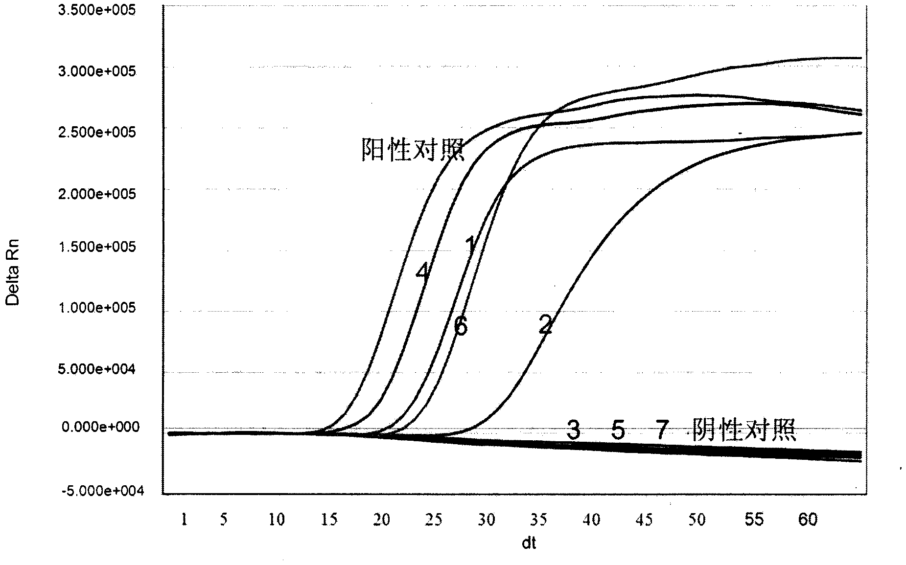 Enterovirus type 71 (EV71) real-time fluorescent nucleic acid isothermal amplification detection kit