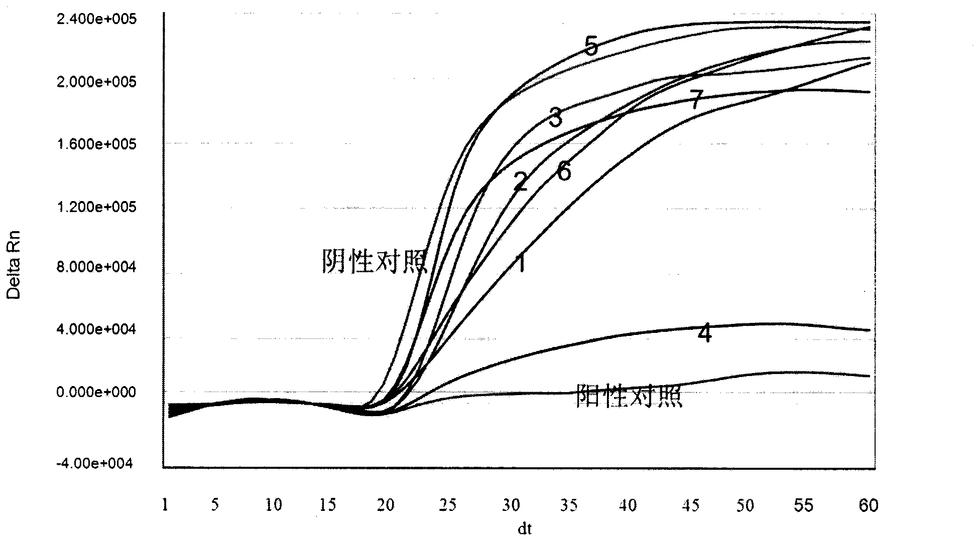 Enterovirus type 71 (EV71) real-time fluorescent nucleic acid isothermal amplification detection kit