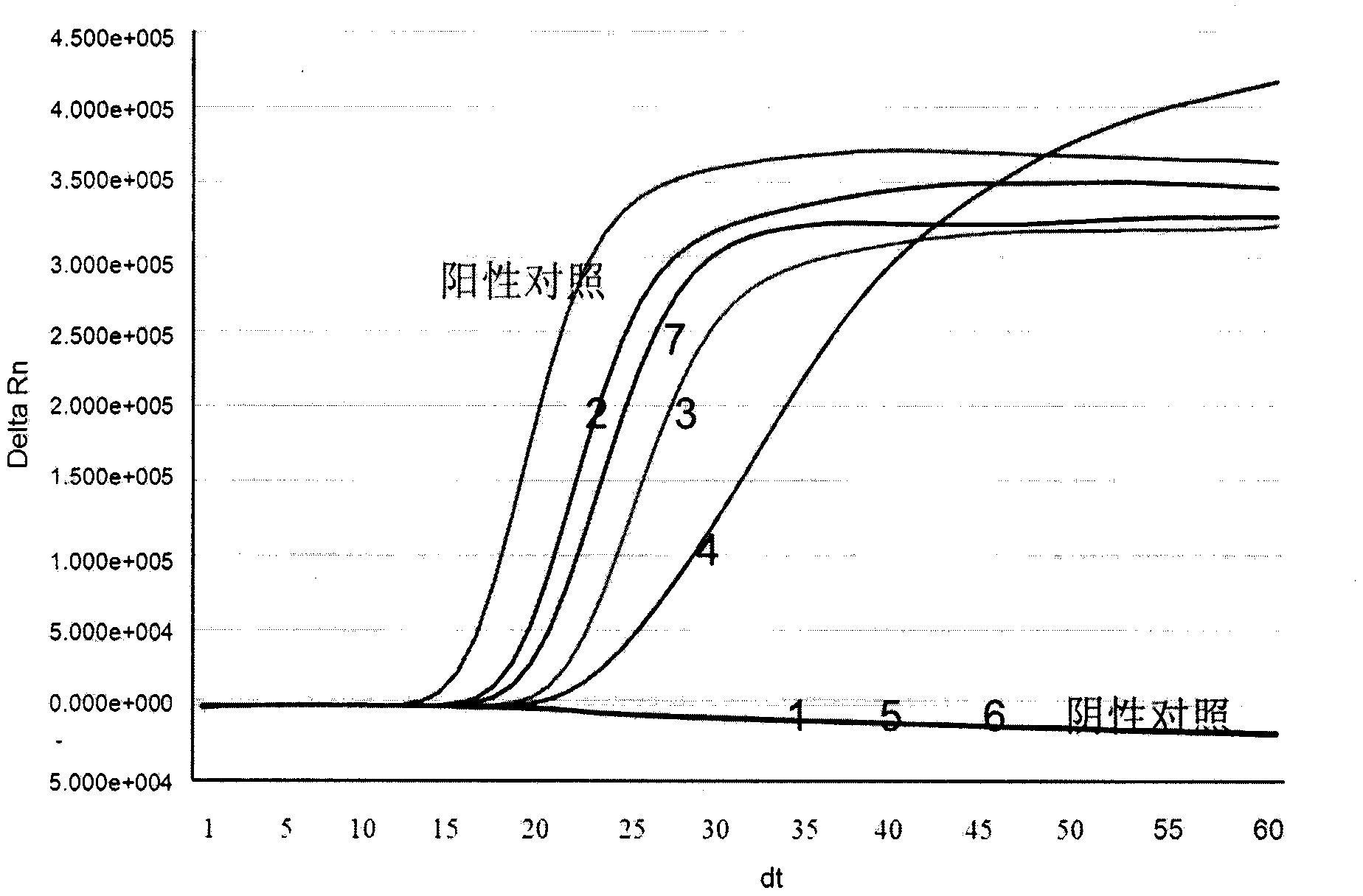 Enterovirus type 71 (EV71) real-time fluorescent nucleic acid isothermal amplification detection kit