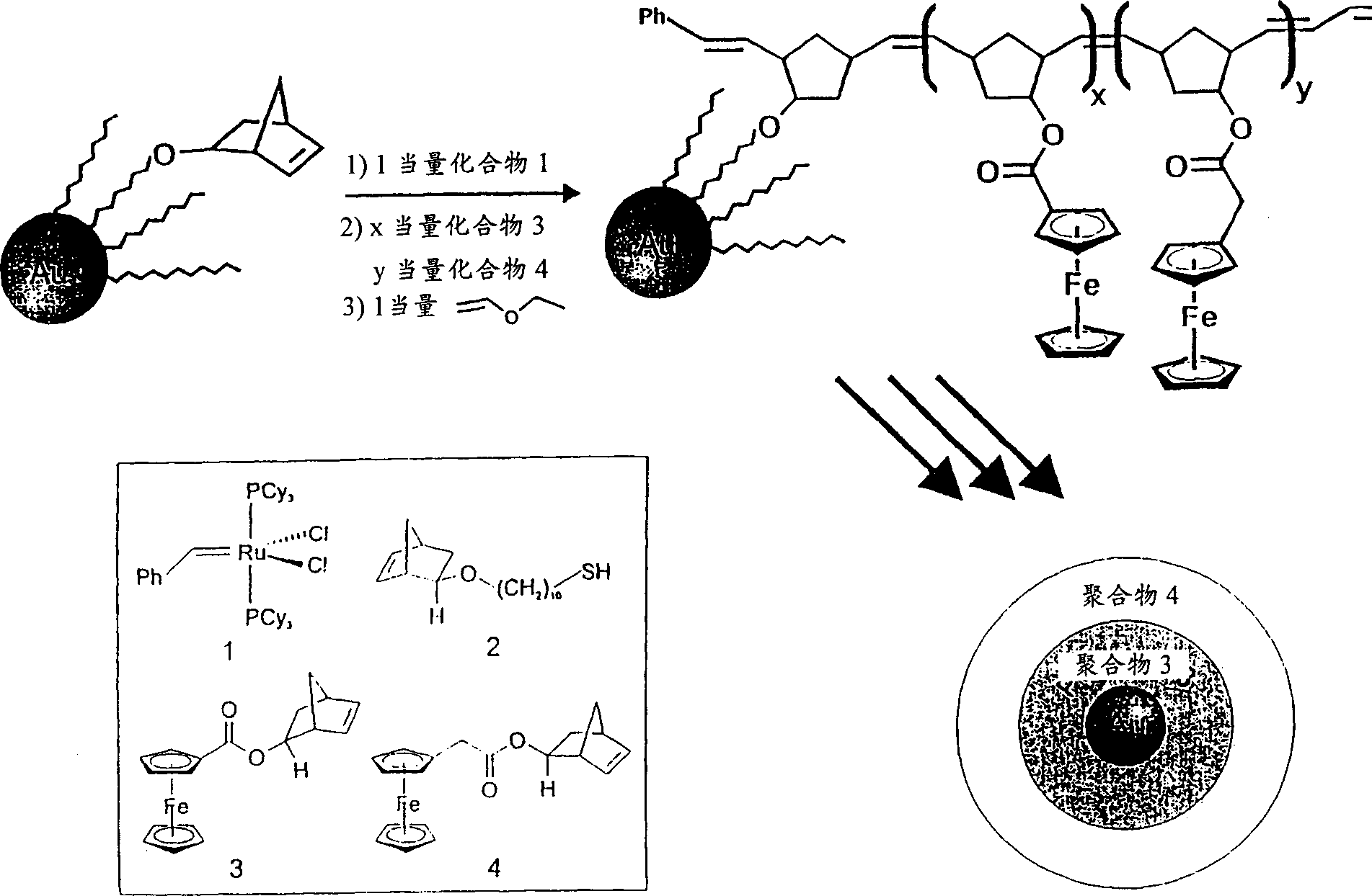 Nanoparticles with polymer shells