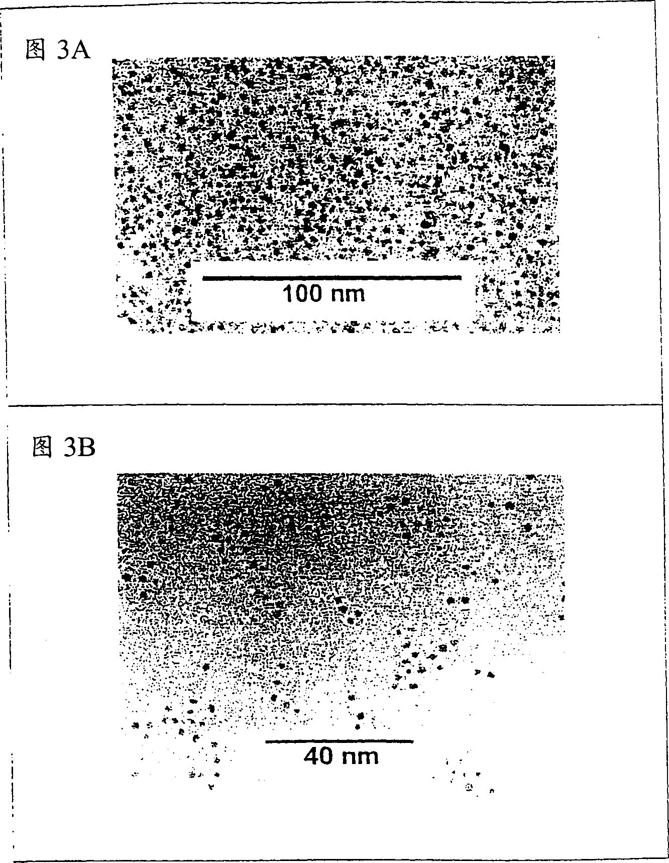 Nanoparticles with polymer shells