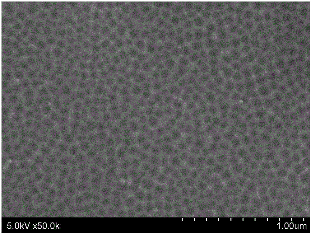 Preparation method for nano SiO2 lattice on 316L stainless steel surface