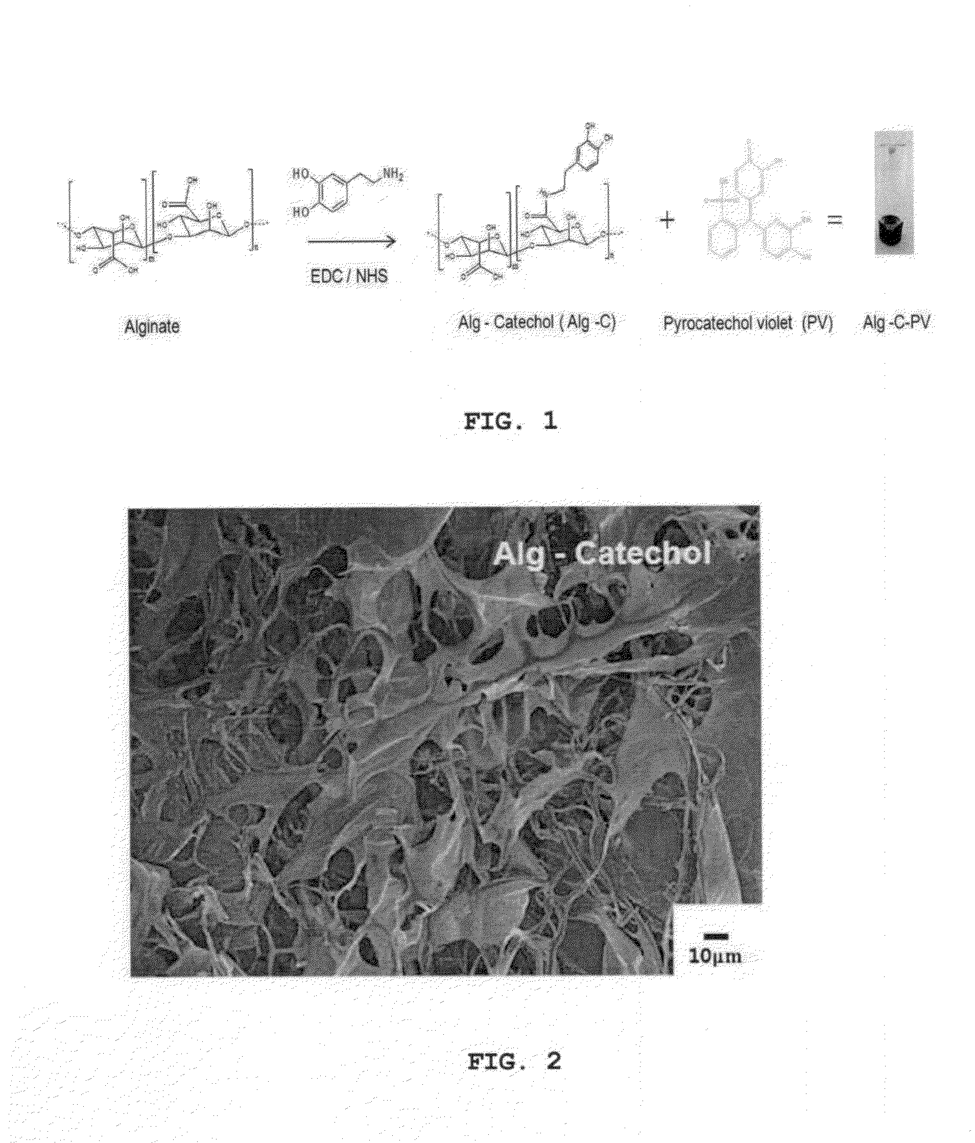 HYDROGEL, PREPARATION METHOD THEREOF, AND pH SENSOR COMPRISING THE SAME