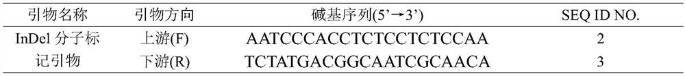 Molecular Identification of Cytoplasmic Male Sterility Restorer Gene in Cotton Trifida