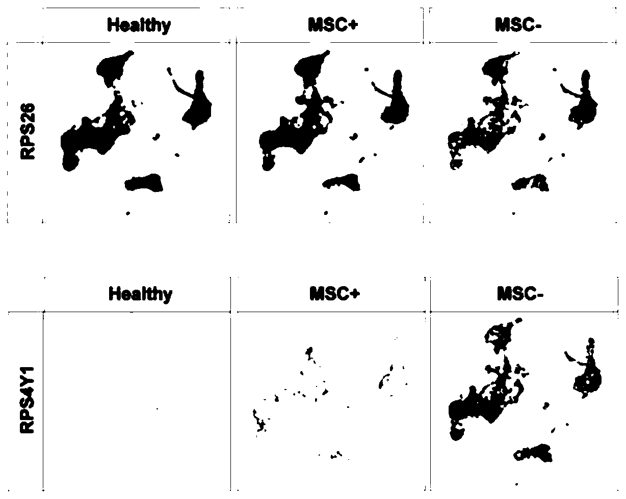 Application of MSC for inhibiting viral replication