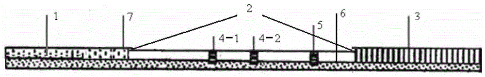 A test strip and method for detecting sulfonamides and fluoroquinolones