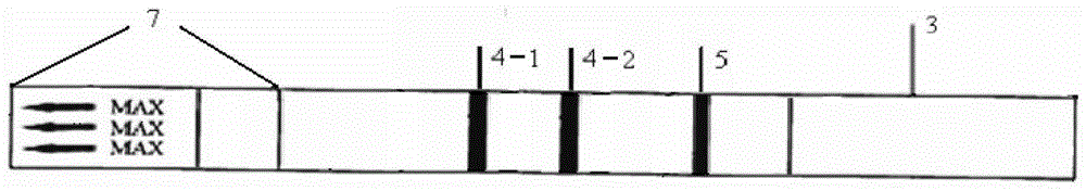 A test strip and method for detecting sulfonamides and fluoroquinolones