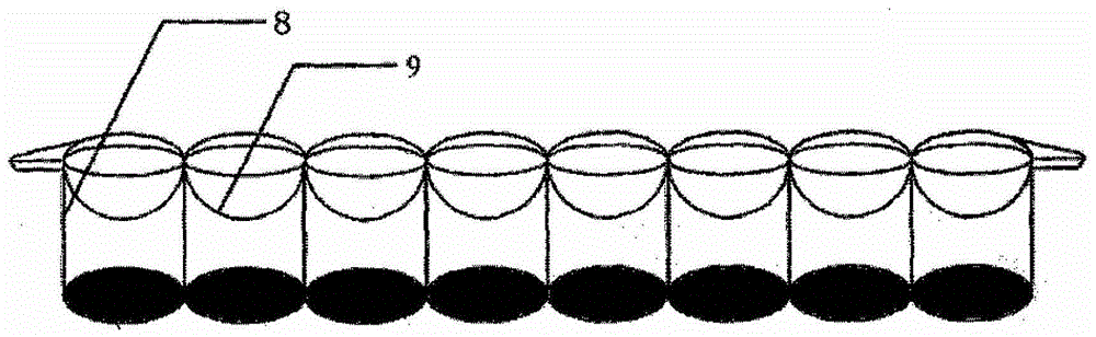 A test strip and method for detecting sulfonamides and fluoroquinolones