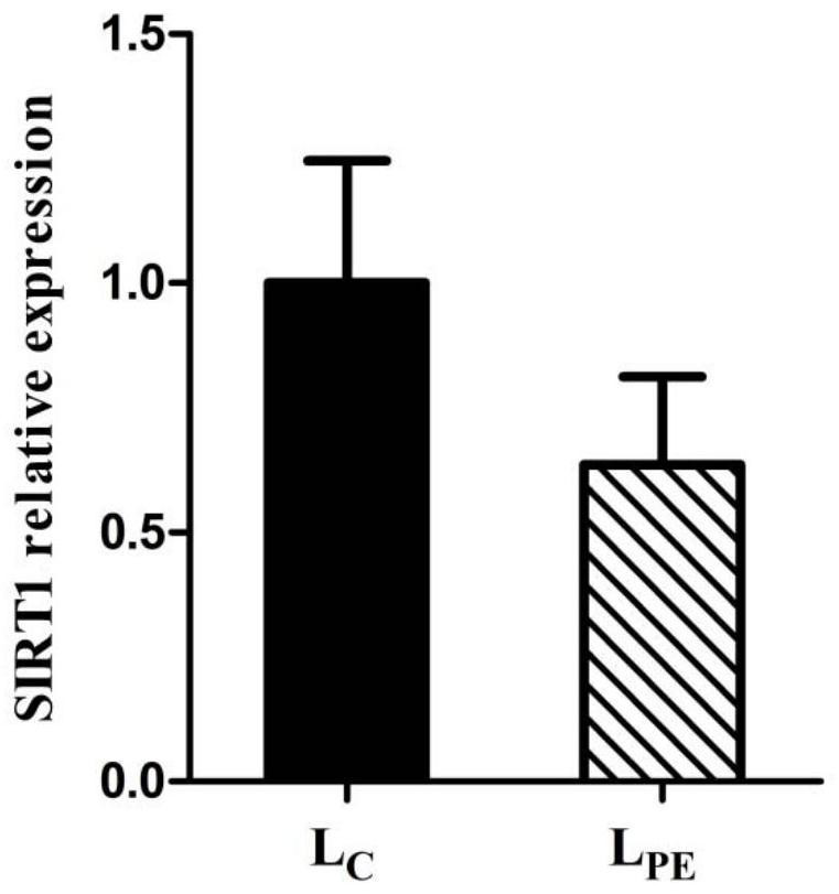 A Method for Enhancing Antioxidative and Immunological Functions of Lambs