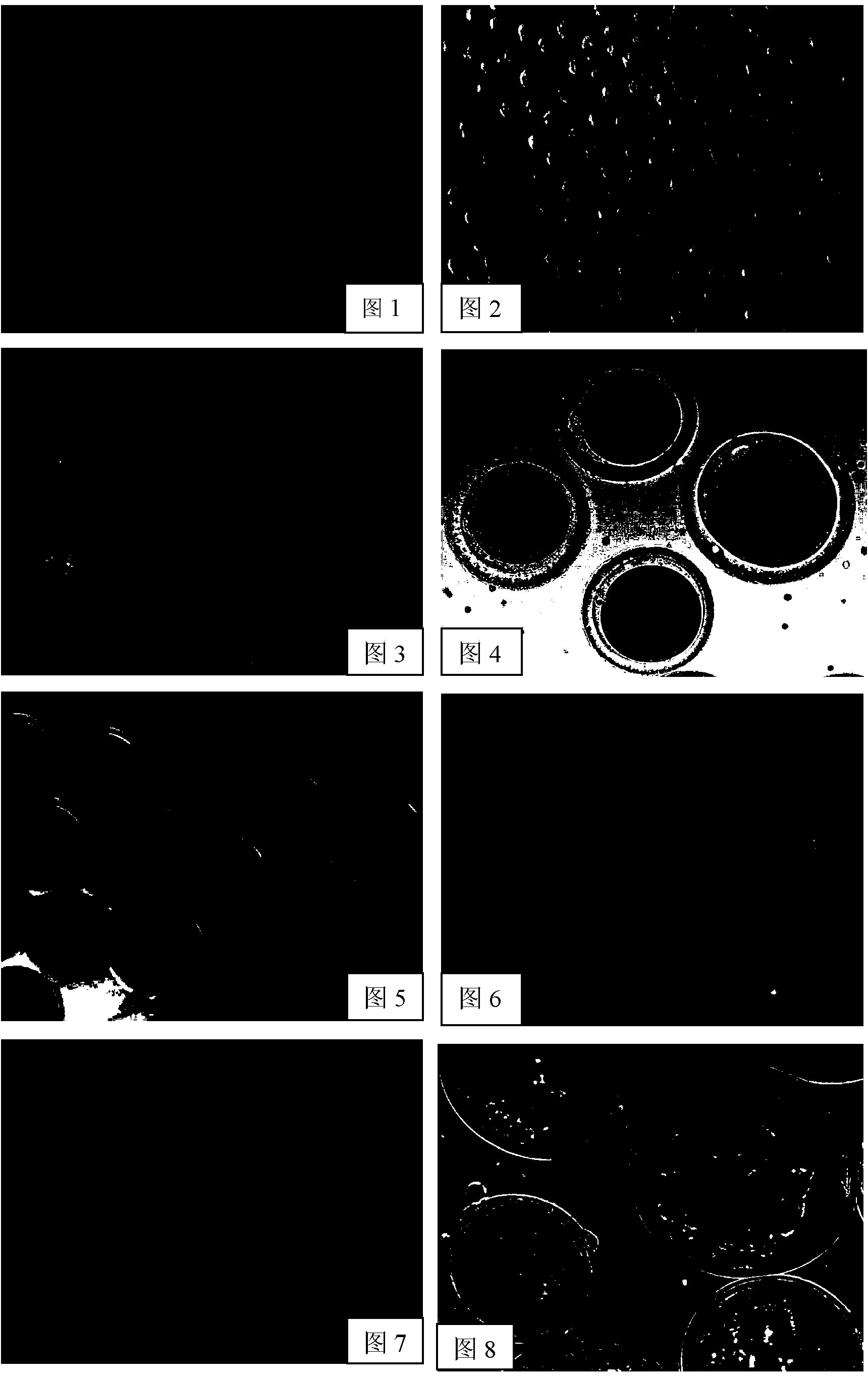 Method for acquiring heterogeneity interspecies-cloned yak premium embryos