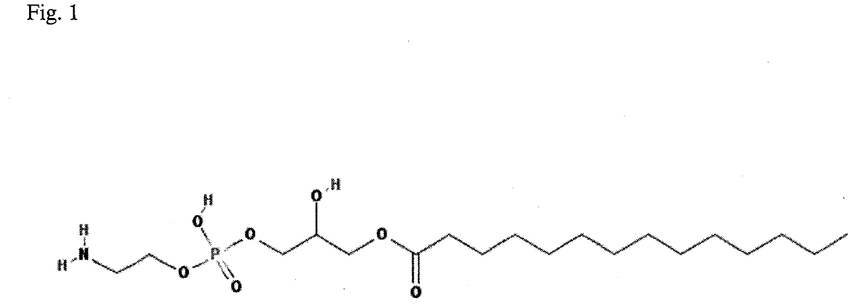 Method for diagnosis of lyme arthritis, method for differential diagnosis of lyme arthritis, lysophosphatidylethanolamine for use as biomarker, kit for diagnosis of lyme arthritis and kit for differential diagnosis of lyme arthritis