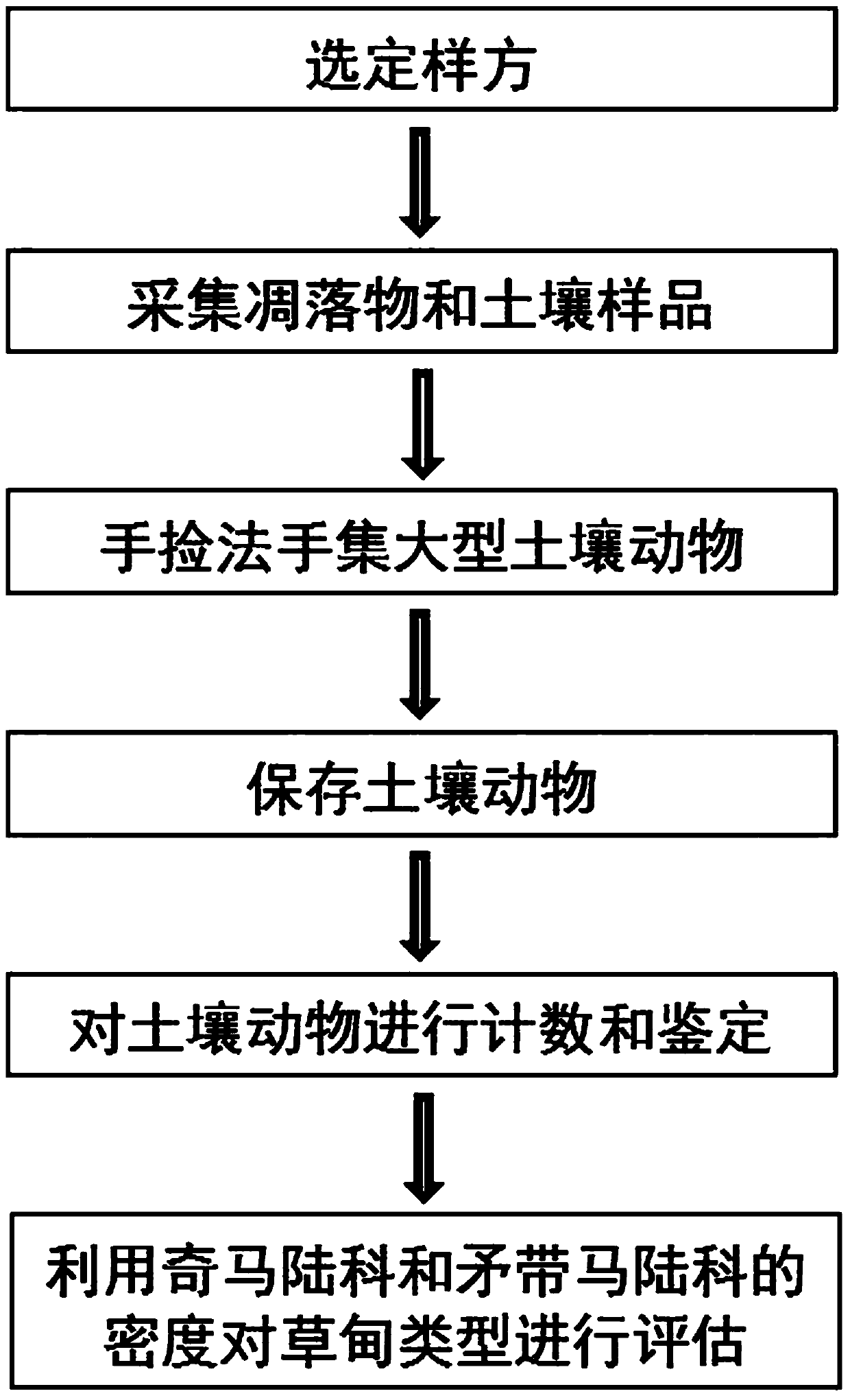 Method for monitoring moderate degradation of alpine meadows in Qinghai-Tibet Plateau by using soil animals