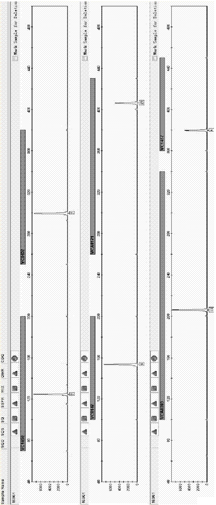 A kind of vibrio cholerae analysis typing kit