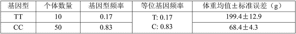 SNP (Single Nucleotide Polymorphisms) marker and application thereof