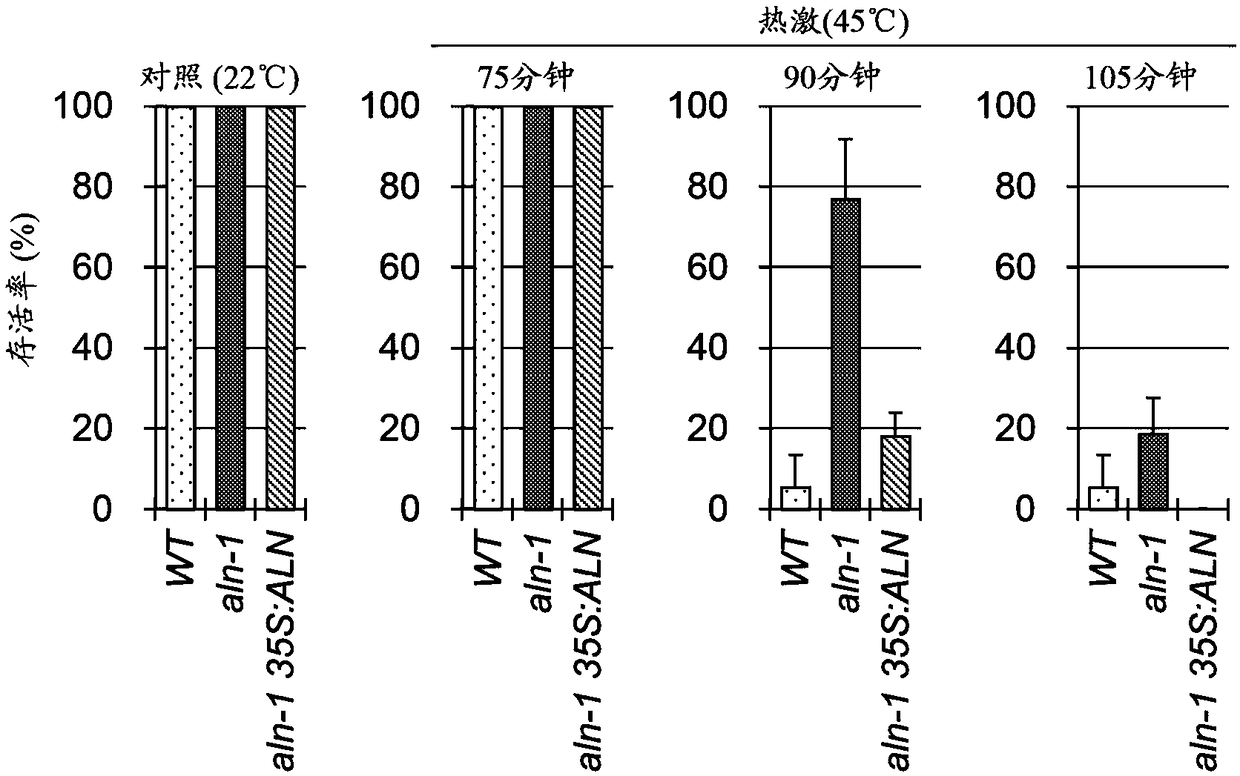 Agent for enhancing high-temperature resistance in plant, method for enhancing high-temperature resistance, agent for suppressing whitening, and DREB2A gene expression promoter