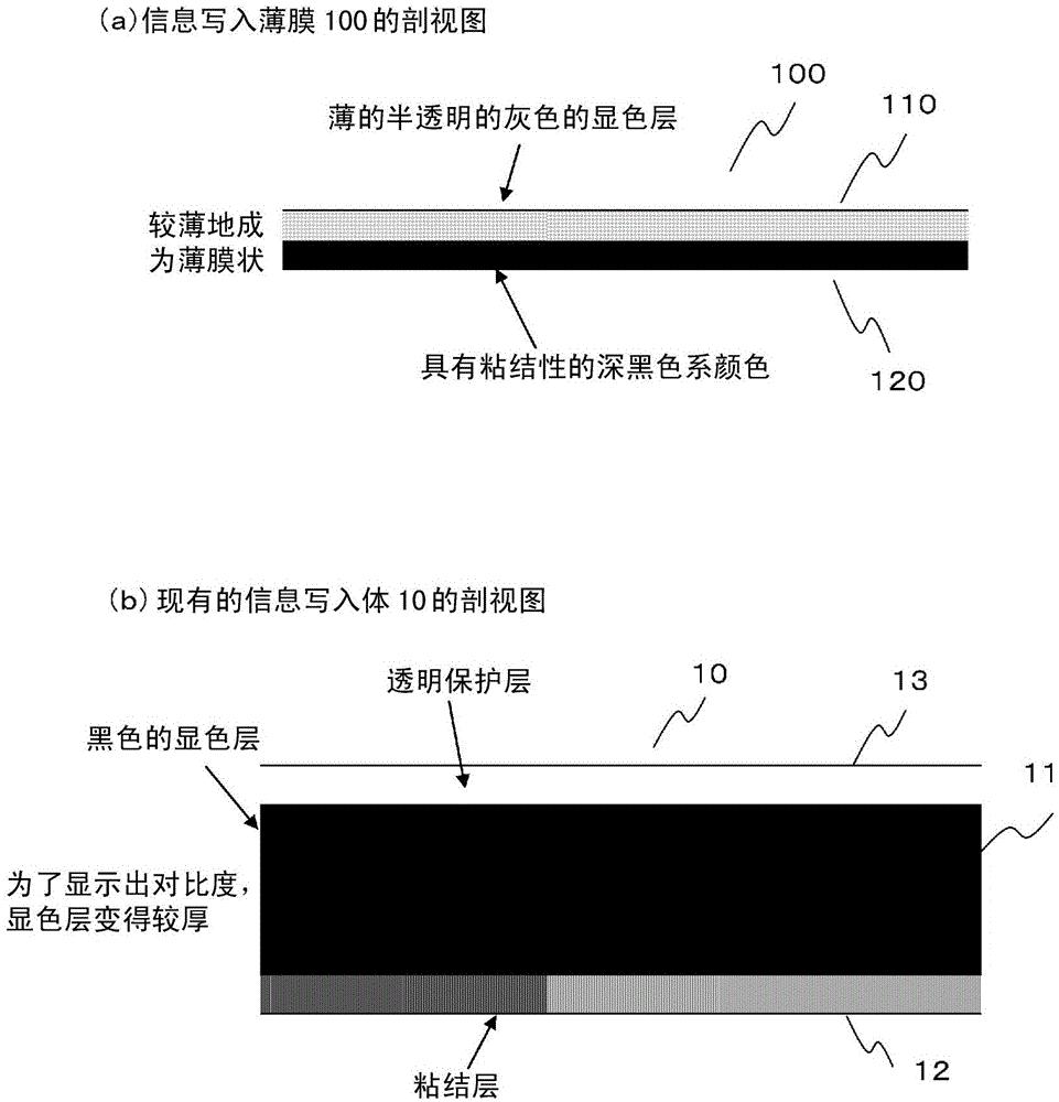 Information writing film and sample storage body