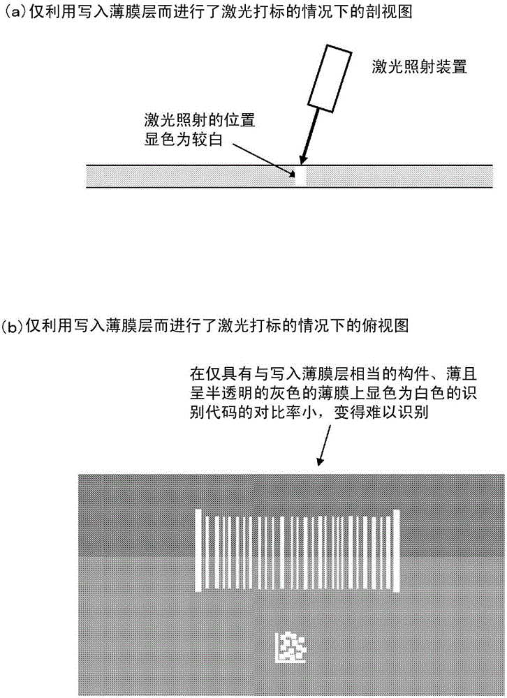 Information writing film and sample storage body