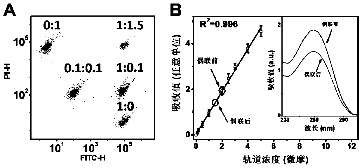 Multi-nucleic acid detection method and kit