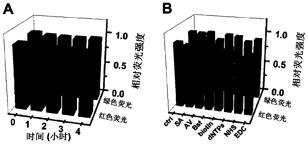 Multi-nucleic acid detection method and kit