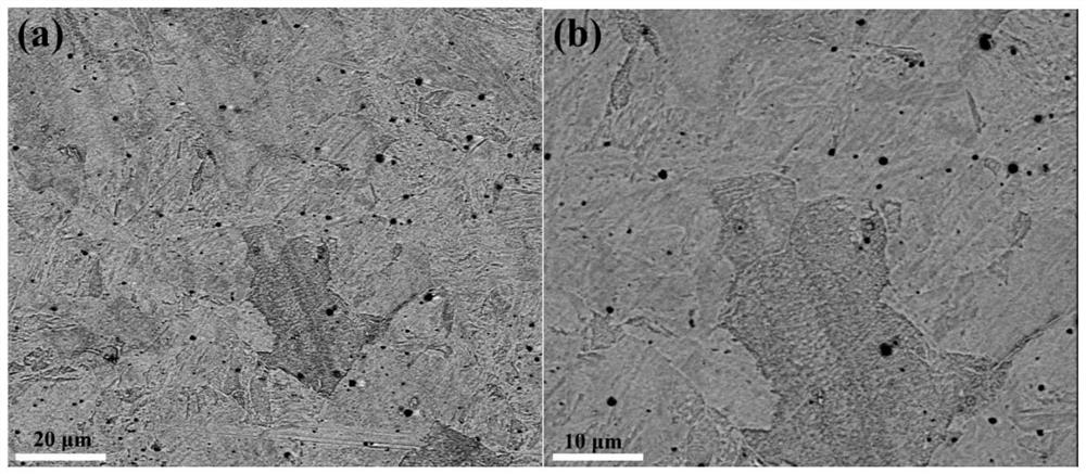 Nano oxide and carbide dispersion strengthened low-activation steel as well as preparation method and application thereof