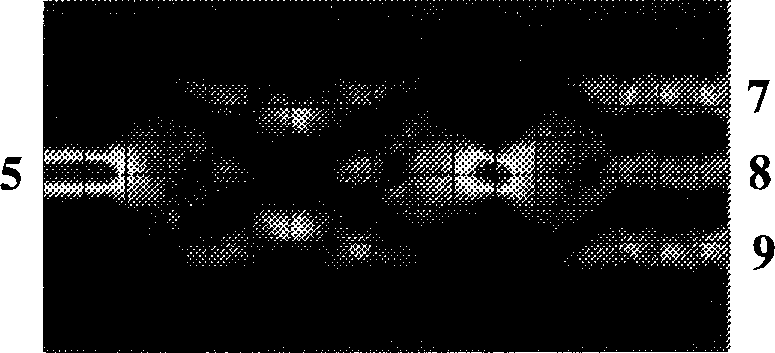 Full optical logic gate of optic waveguide