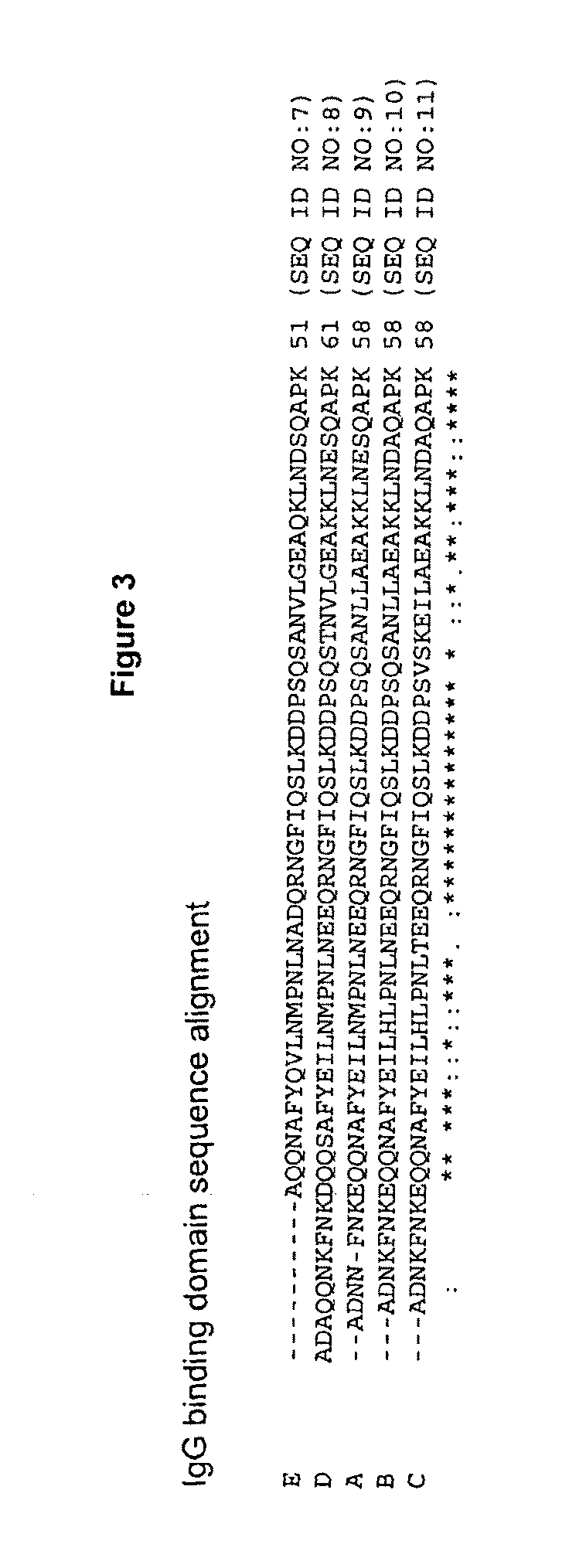 Caustic stable chromatography ligands