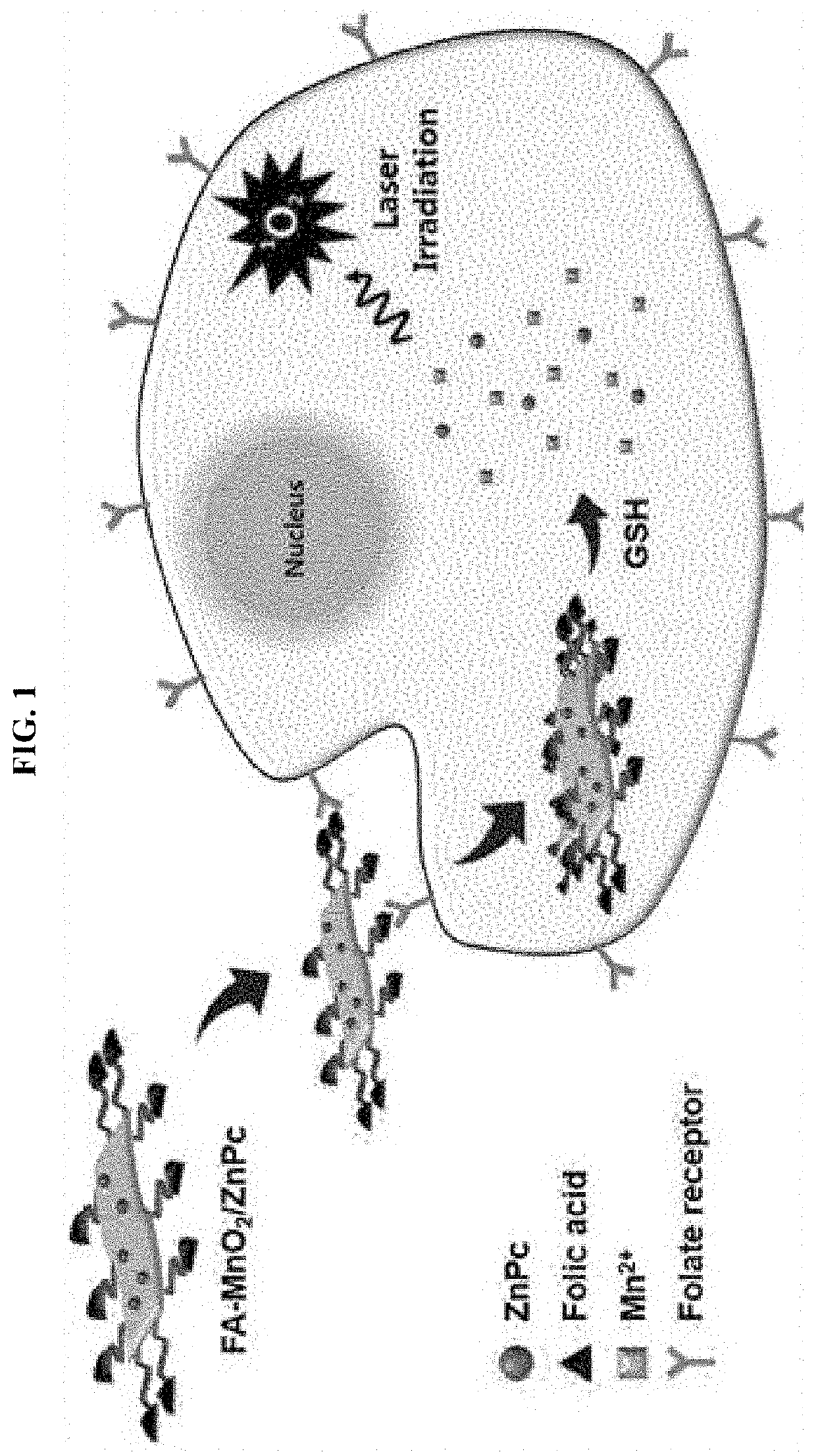 Pharmaceutical composition for cancer treatment