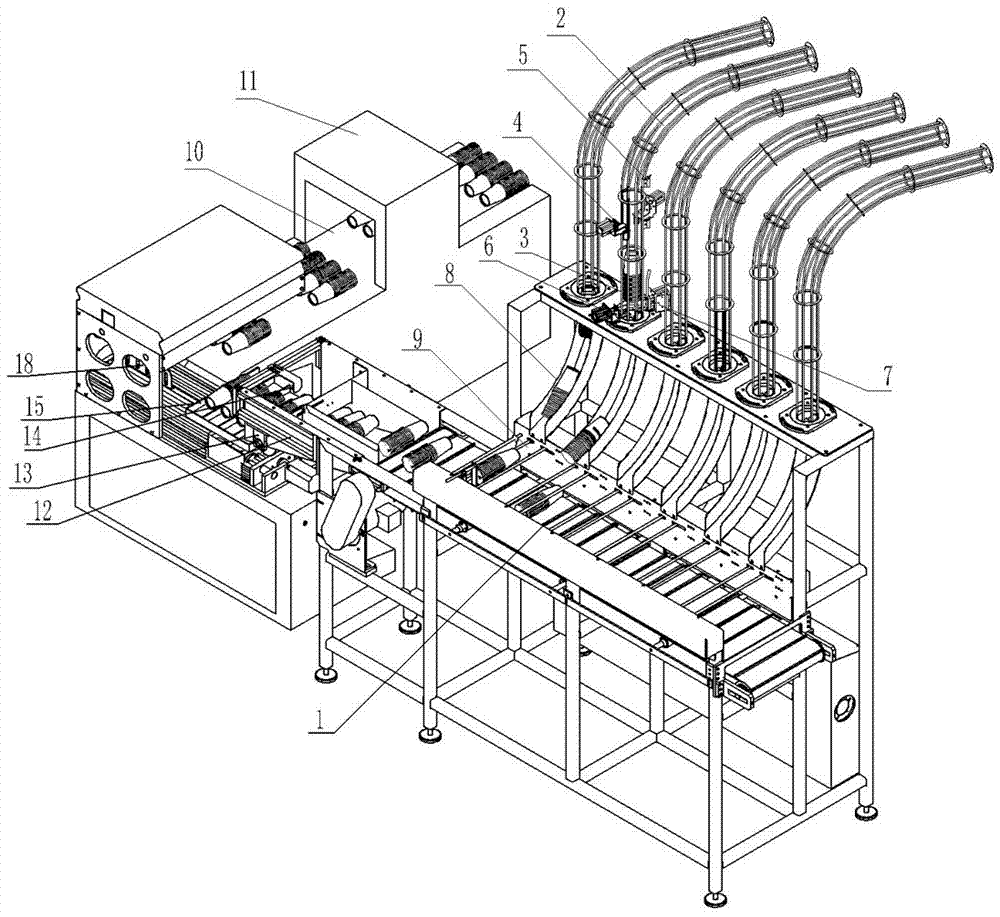 Paper cup or paper bowl packaging line