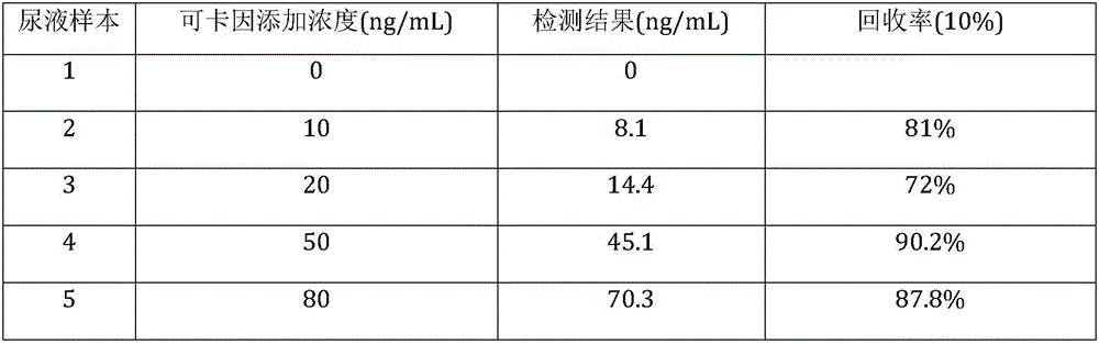 Method for enriching and detecting cocaine and metabolin thereof in urine through magnetic dispersed extraction materials