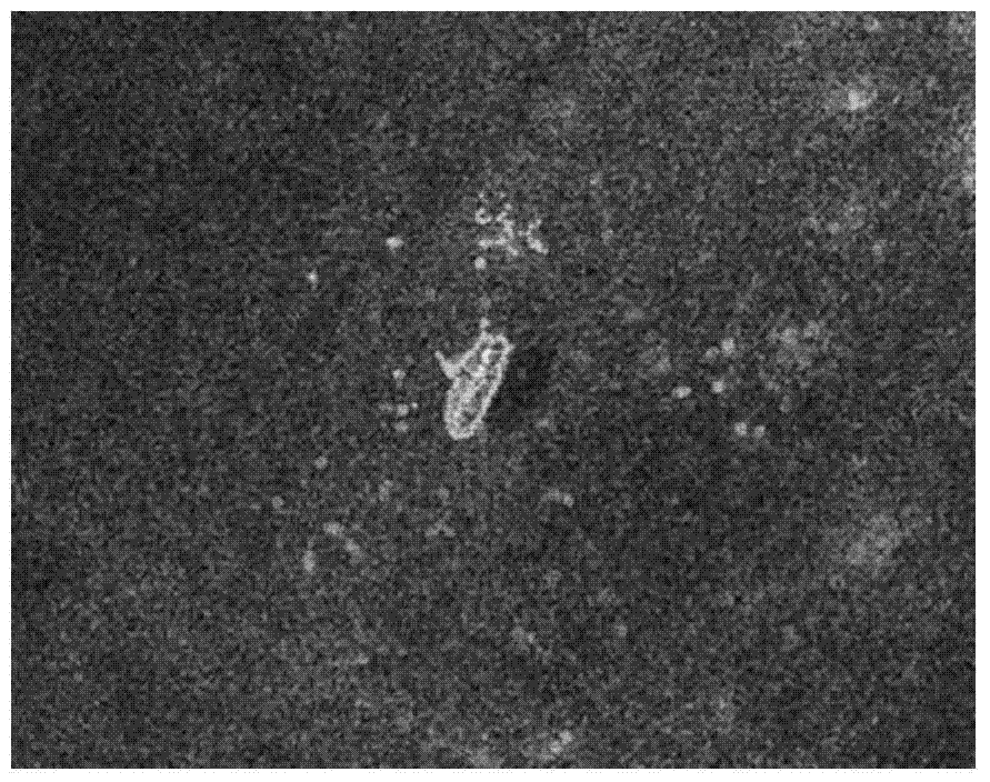 A Mine Target Recognition Method Based on Active Contouring in Sonar Images