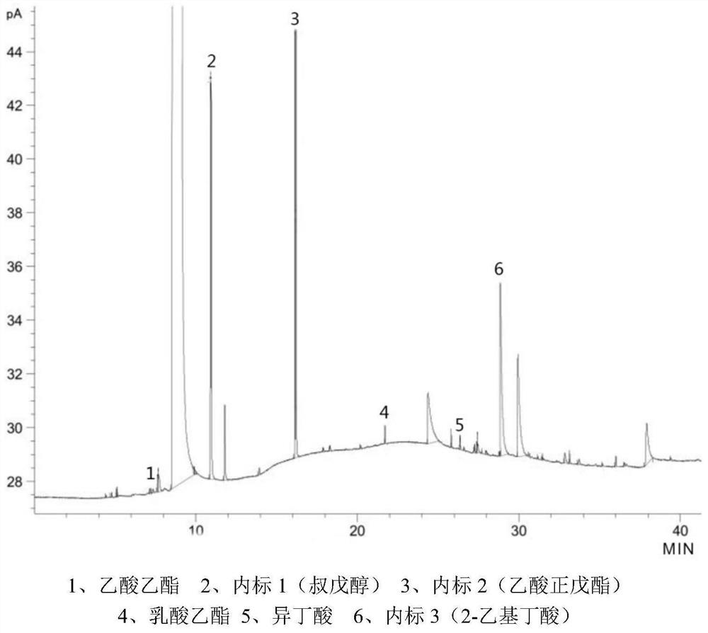 A kind of preparation method of glutinous acid capsicum with fermentation stability