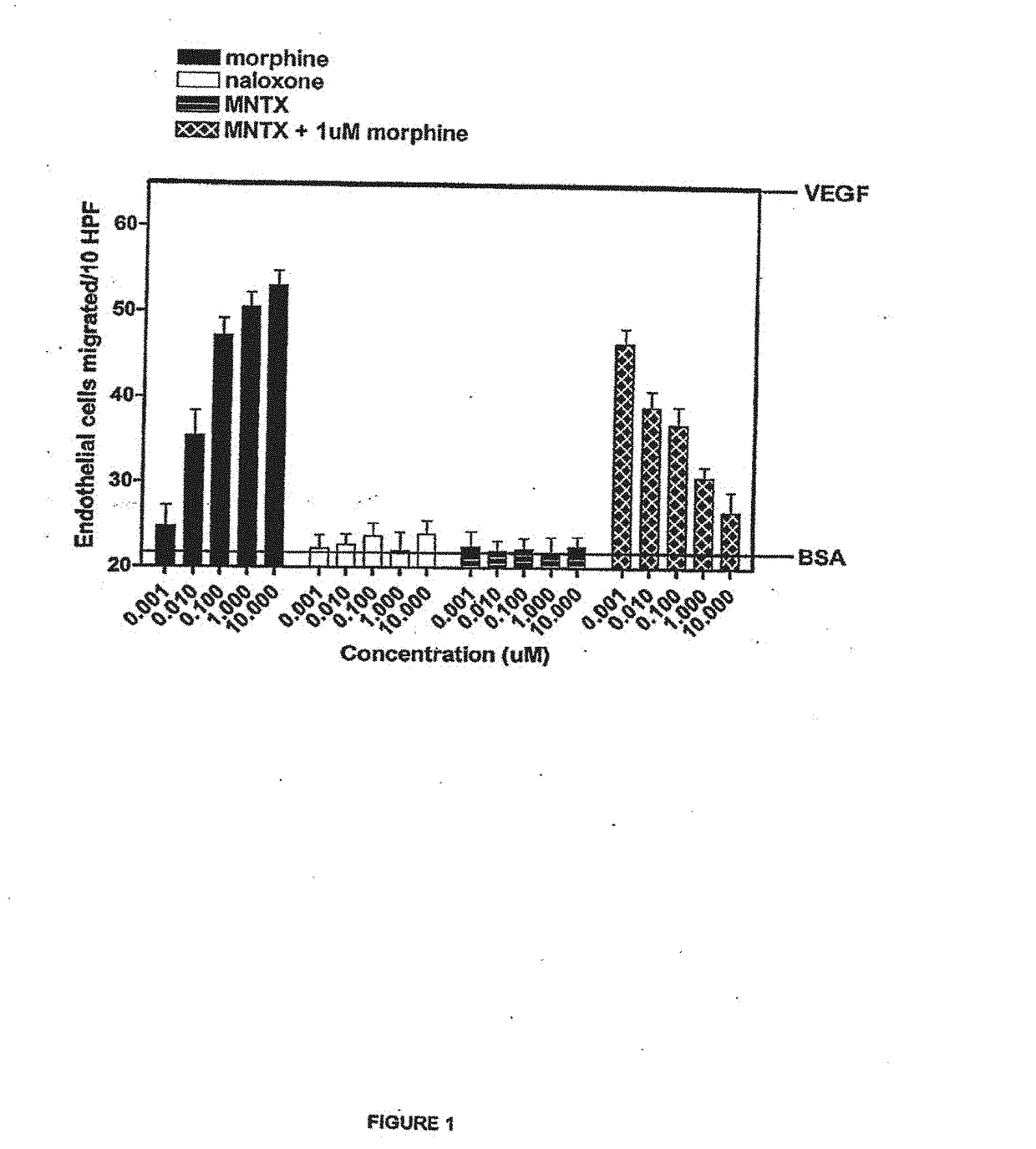 Use of opioid antagonists to attenuate endothelial cell proliferation and migration